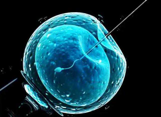 河北供卵试管技术|2023武汉助孕机构排名一览供卵试管费用明细及成功率参考