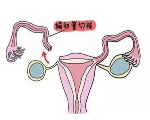 <b>广州世纪助孕生殖中心怎么样_上海世纪助孕招聘,温州供卵生子值得吗 2023温州</b>