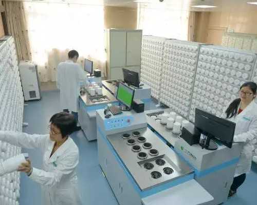 深圳助孕指南：泰国试管婴儿技术深度解析与成功经验分享