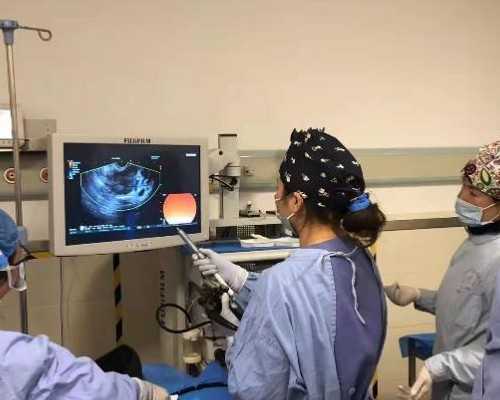 深圳助孕价格,深圳代生男孩,深圳代生妈妈_做试管代孕哪家好_助孕借卵机构