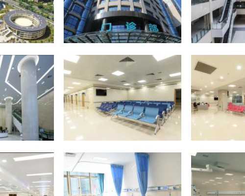 生育政策调整与助孕选择：深入解析产假延长与辅助生殖服务