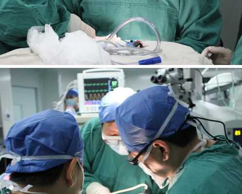 探秘精子供卵助孕的费用与服务