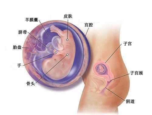 济南供卵孕妈妈_广东省梅州市2022年最新供卵试管助孕医院排名汇总，（内附供